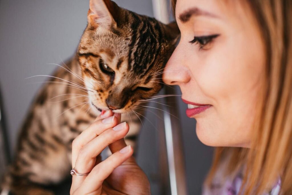 If your cat licks you after you return from the gym or are sweating, they may simply enjoy the mineral salt on your skin.