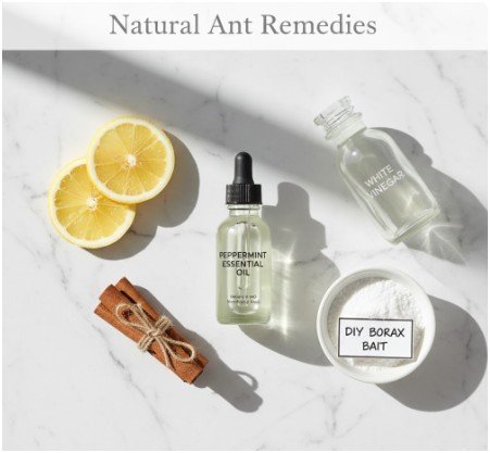 How Do I Actually Do All This? (The How-To Section)