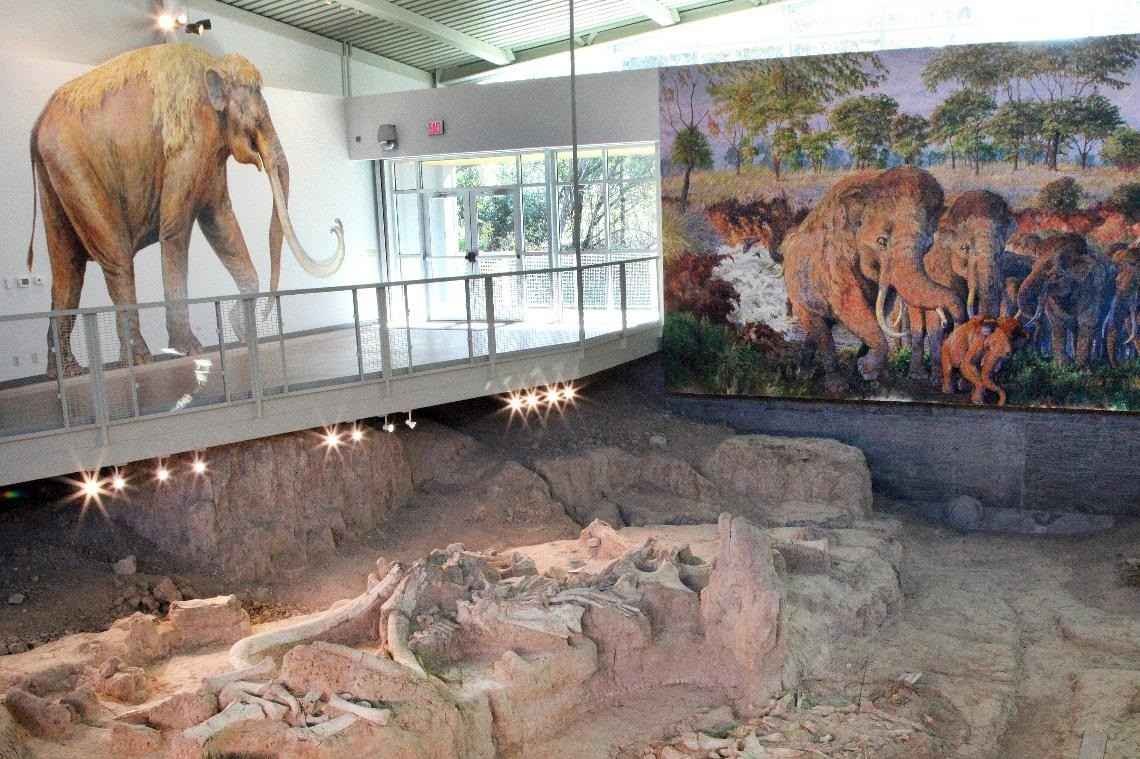 Waco Mammoth National Monument