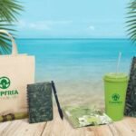 Enhance Your Brand with Coastal Direct Promo Products